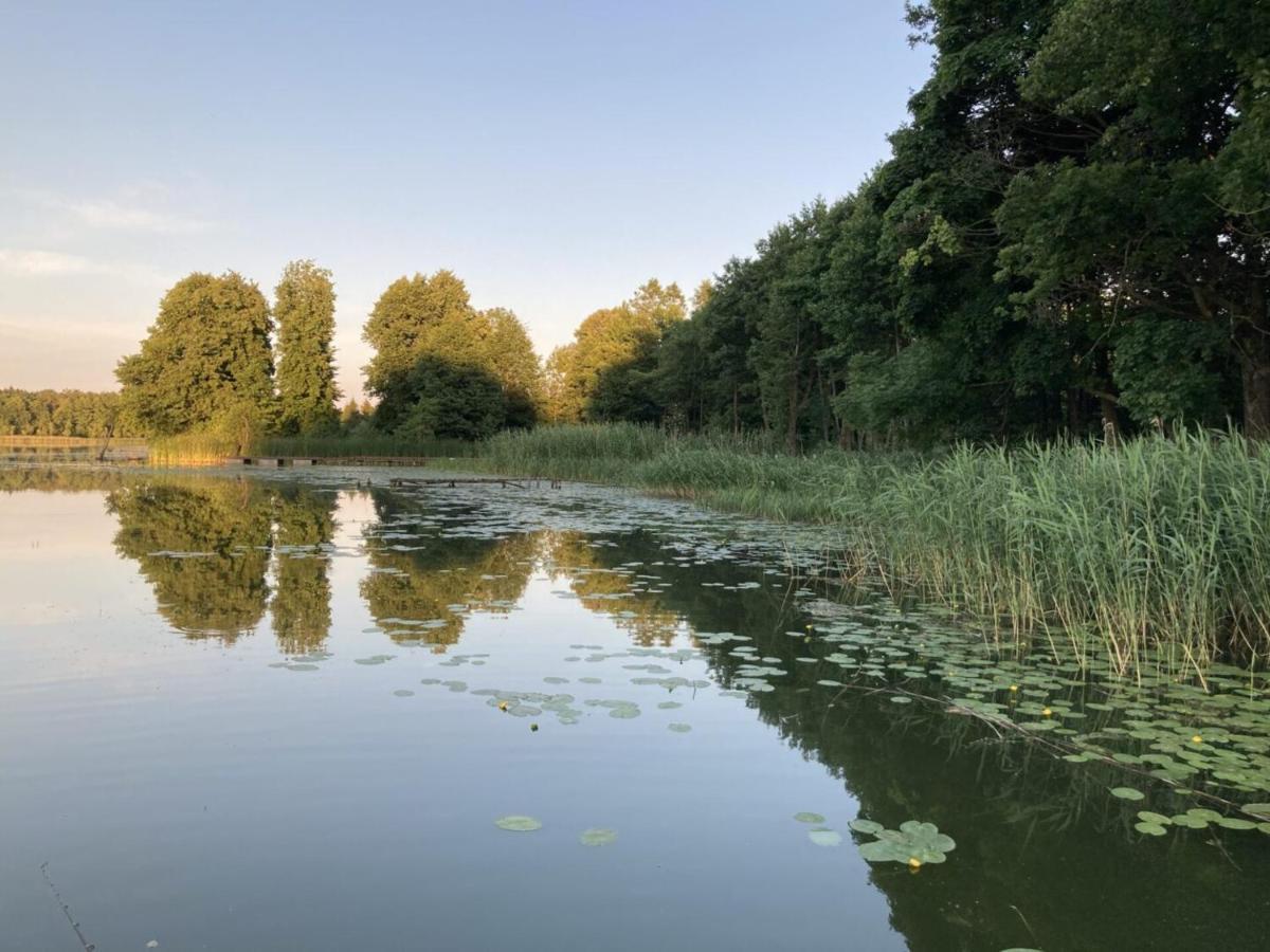 Cisy Resort Ii-Idealny Dla Gosci Ze Zwierzetami,Ogrodzony Teren Na Wylacznosc,150 M Od Jeziora Ełk Exterior foto