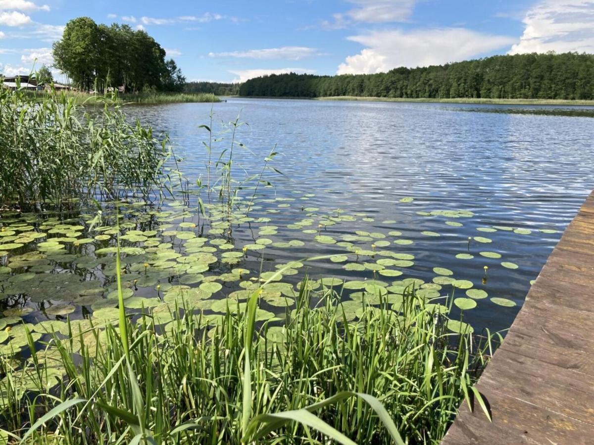 Cisy Resort Ii-Idealny Dla Gosci Ze Zwierzetami,Ogrodzony Teren Na Wylacznosc,150 M Od Jeziora Ełk Exterior foto