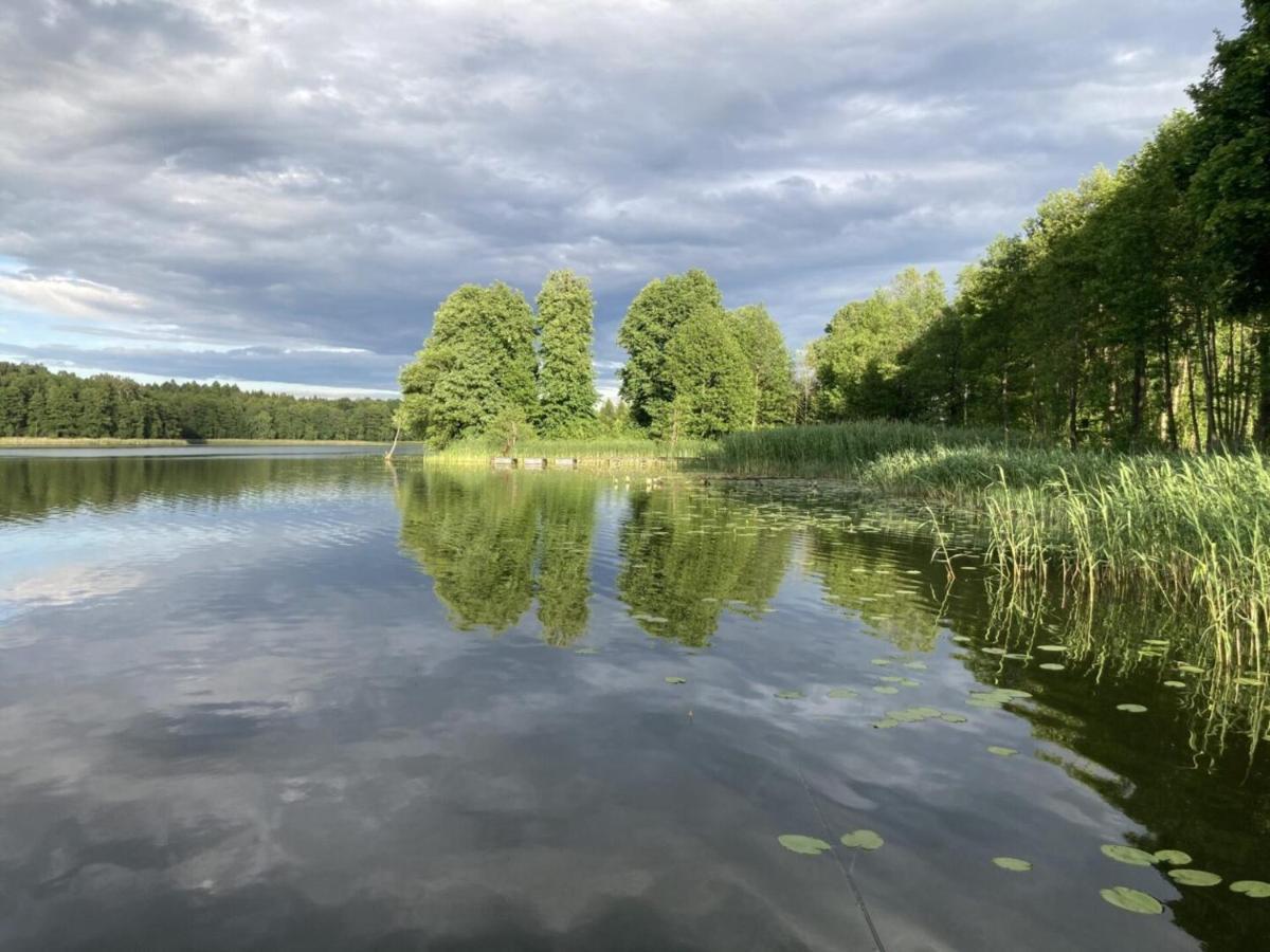 Cisy Resort Ii-Idealny Dla Gosci Ze Zwierzetami,Ogrodzony Teren Na Wylacznosc,150 M Od Jeziora Ełk Exterior foto